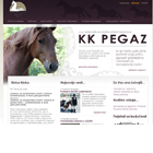 More about Pegaz